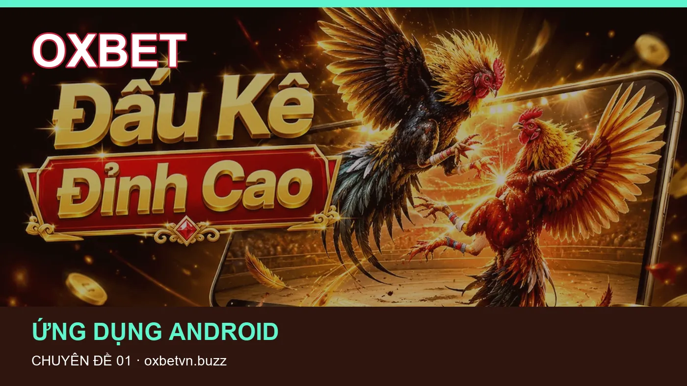 Trải nghiệm Ứng dụng Android trên điện thoại cùng cẩm nang OXBET