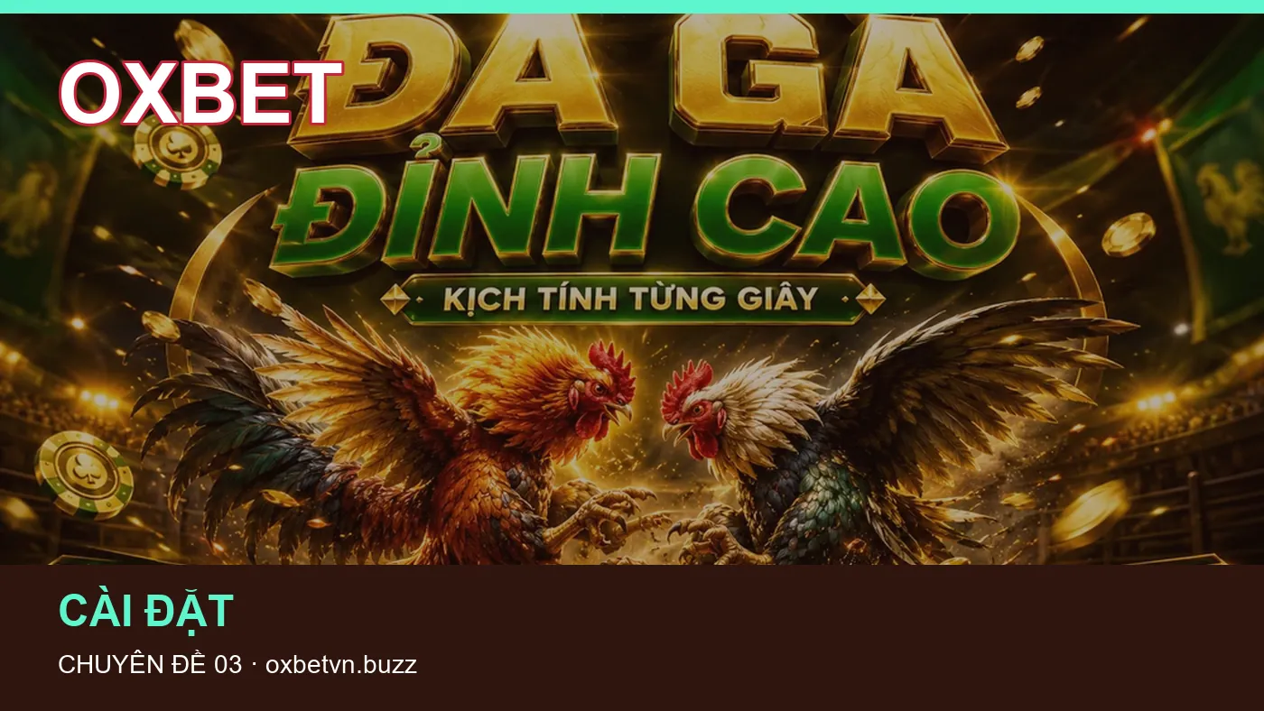 Hỏi đáp về Ứng dụng Android: quy trình tự kiểm tra trên OXBET