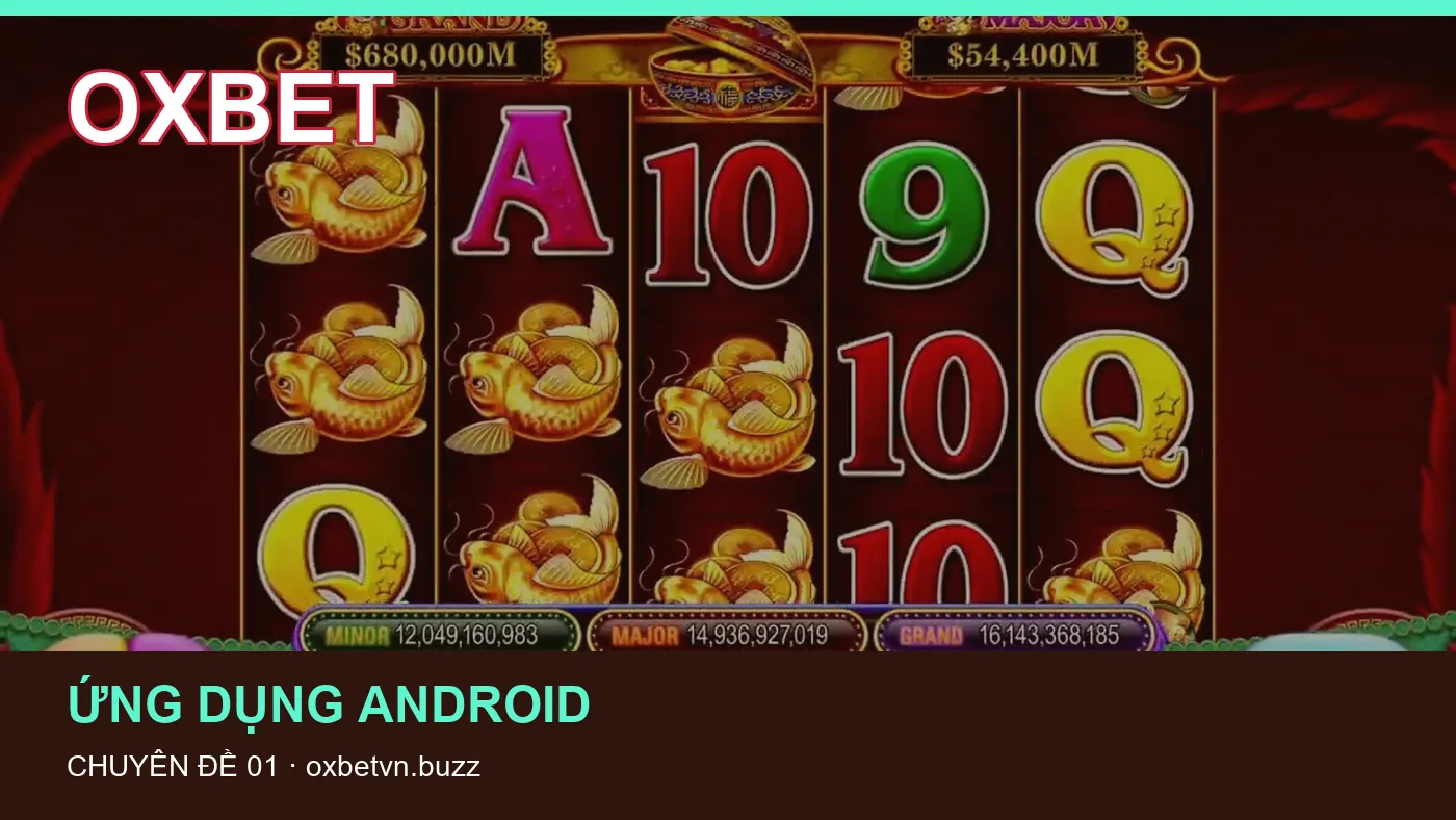 Đối chiếu nguồn và thời điểm cập nhật trong Cài đặt của OXBET