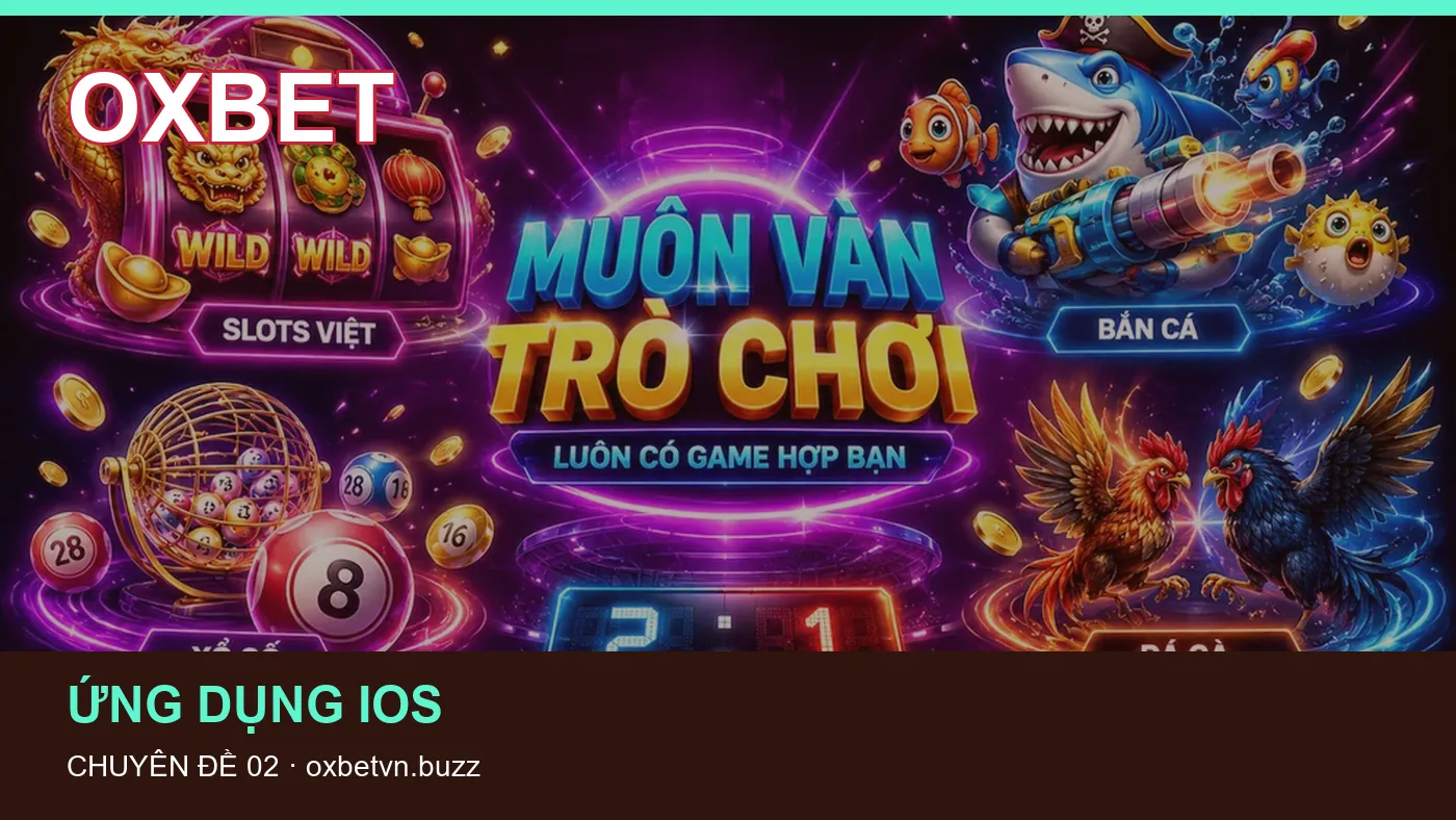 Hỏi đáp về Khắc phục lỗi: quy trình tự kiểm tra trên OXBET